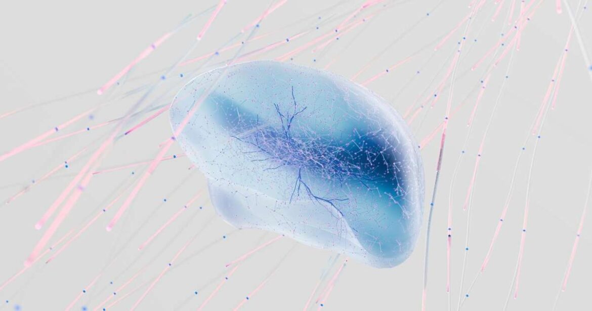 Ciclos de Sono e Frequências Cerebrais potencializam a produtividade