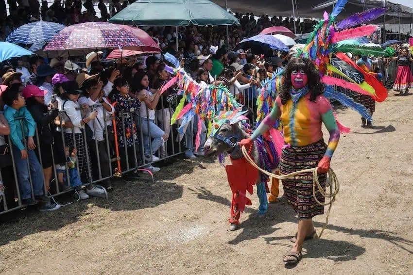 2024 সালের সেরা ‘মেক্সিকো ম্যাজিকো’ মুহূর্ত: পার্ট 2