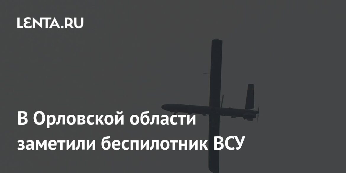 ওরিওল অঞ্চলে ইউক্রেনীয় সশস্ত্র বাহিনীর একটি ড্রোন দেখা গেছে: রাজনীতি: রাশিয়া: Lenta.ru