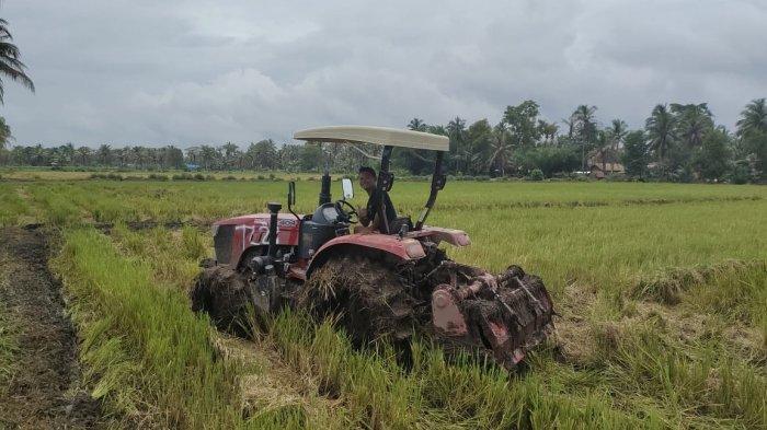 খাদ্যে স্বয়ংসম্পূর্ণতা উপলব্ধি করা, 2,285 জন প্রাক্তন সন্ত্রাসবাদের সাজাপ্রাপ্ত এবং 8,140 জন প্রাক্তন JI কৃষক হওয়ার জন্য প্রশিক্ষিত